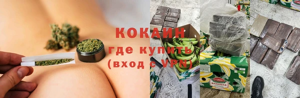индика Абинск