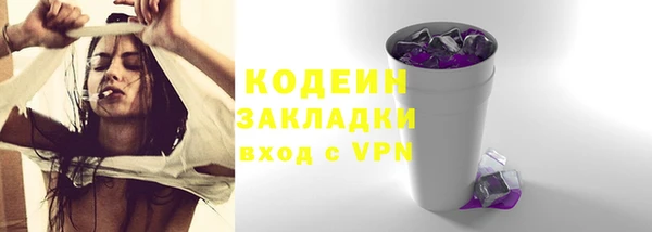 индика Абинск