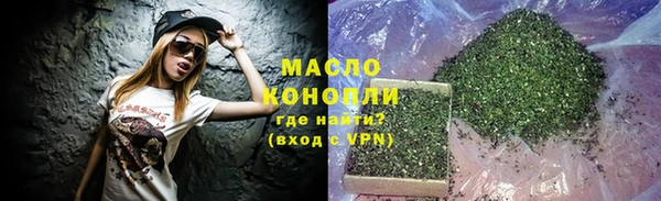 индика Абинск
