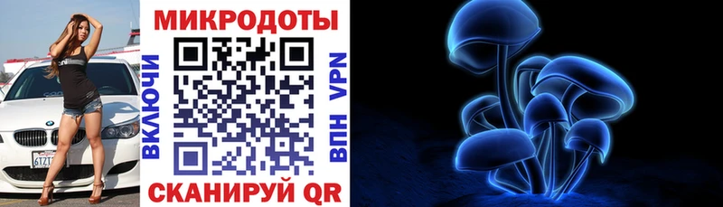 Галлюциногенные грибы Psilocybine cubensis Новомичуринск